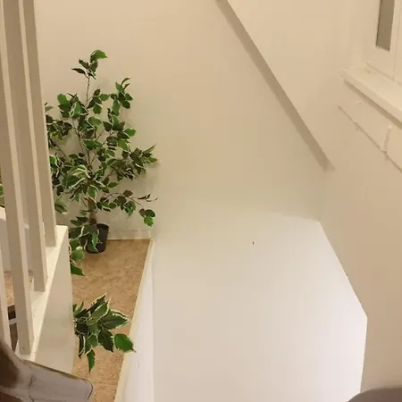 Zwei Etagen Im Grünen Apartamento Berlín